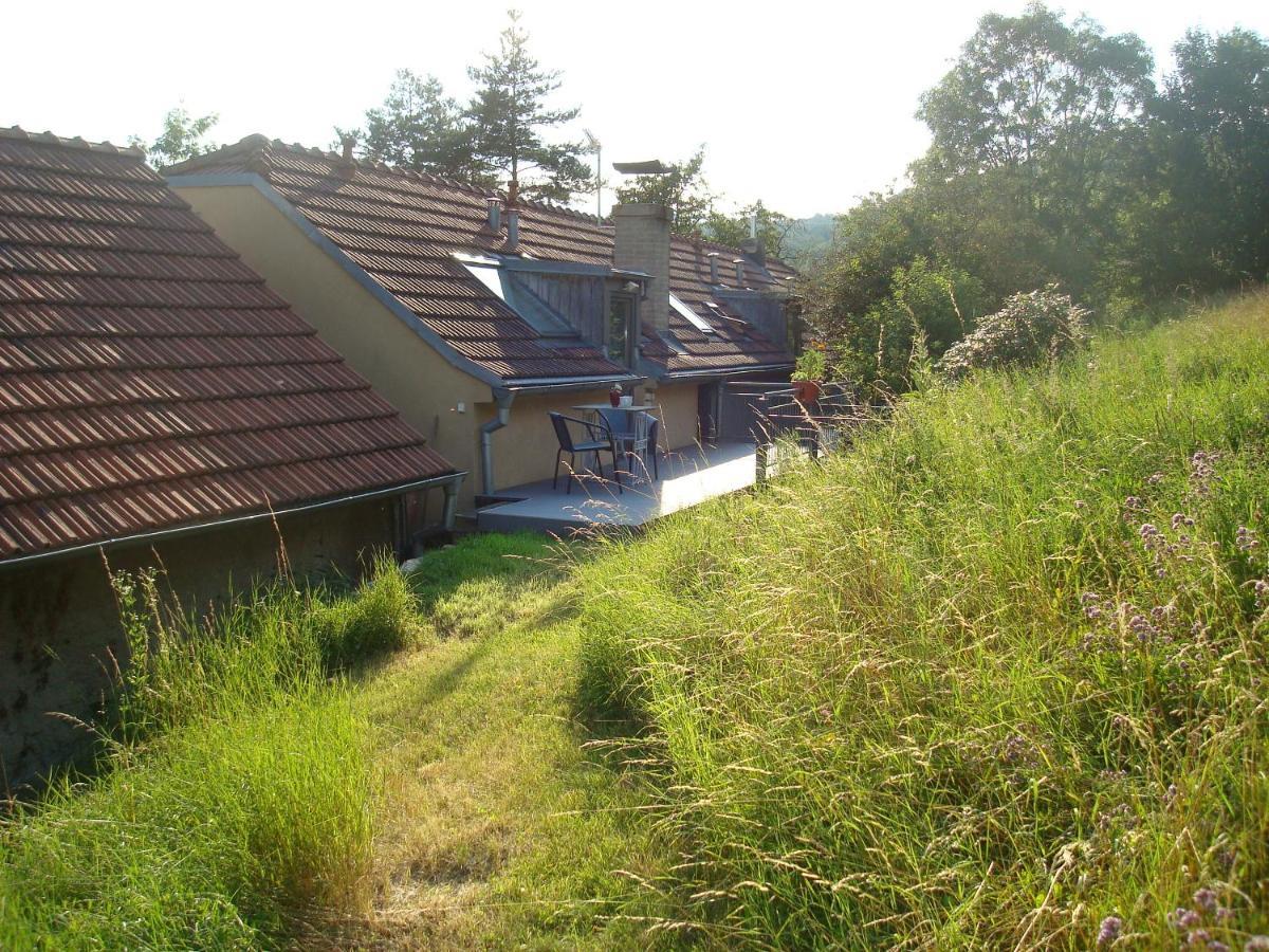 Apartman Pod Velkou Amerikou Morina Exterior photo